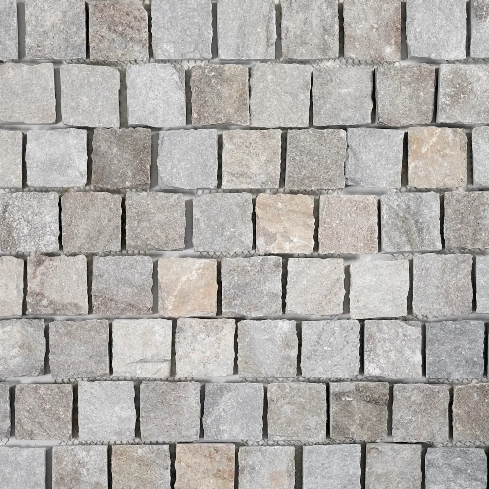 Daffodil-Limestone
